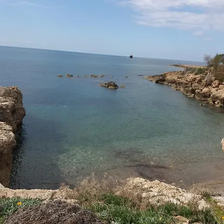 Alice * Paphos